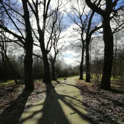 Limburg Cycling Routes - Winterslag