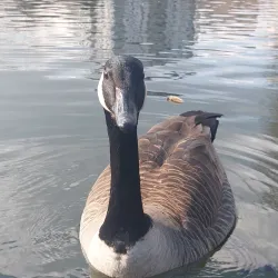 Château Malou - Woluwe Saint Lambert