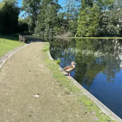 Château Malou - Woluwe Saint Lambert