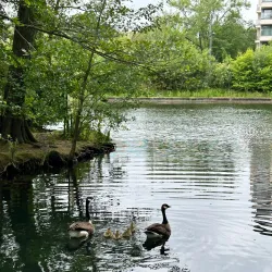 Château Malou - Woluwe Saint Lambert
