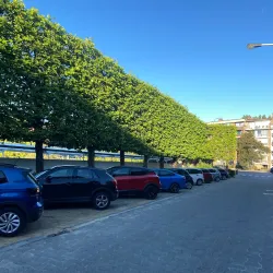 Maison Communale de Woluwe Saint Lambert - Woluwe Saint Lambert