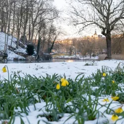 Parc de Woluwe - Woluwe Saint Lambert