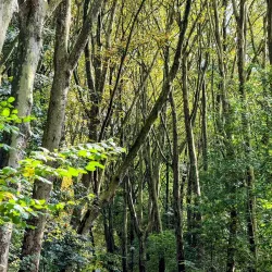 Parc Malou - Woluwe Saint Lambert