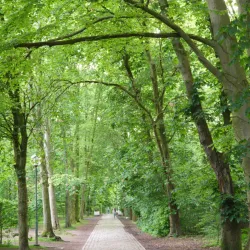 Parc Malou - Woluwe Saint Lambert