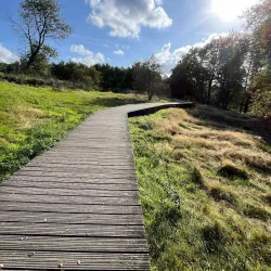 Hill 60 - Ypres (Ieper)