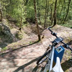 De Zandberg Park - Zottegem