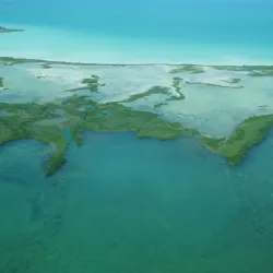 Bird Island - Ambergris Caye
