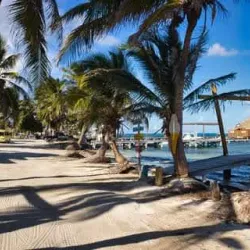 Bird Island - Ambergris Caye
