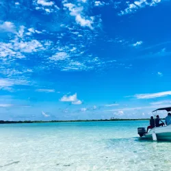 Bird Island - Ambergris Caye