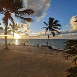 Bird Island - Ambergris Caye