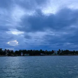 Bird Island - Ambergris Caye