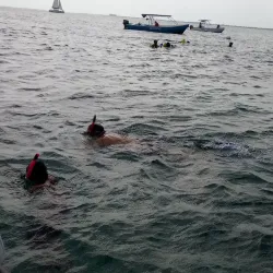 Mexico Rocks - Ambergris Caye