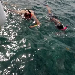 Mexico Rocks - Ambergris Caye