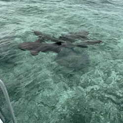 Mexico Rocks - Ambergris Caye
