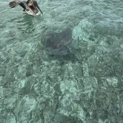 Mexico Rocks - Ambergris Caye