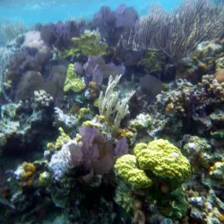 The Great Blue Hole - Ambergris Caye