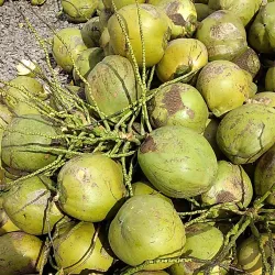 Belmopan Market - Belmopan