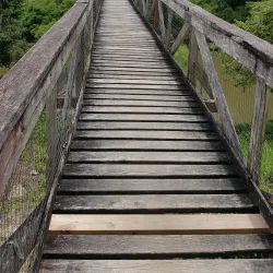Guanacaste National Park - Belmopan