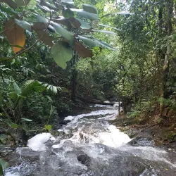 Guanacaste National Park - Belmopan