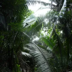 Guanacaste National Park - Belmopan