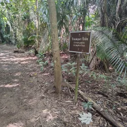 Guanacaste National Park - Belmopan