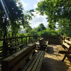 Guanacaste National Park - Belmopan