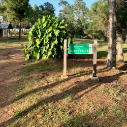Mile 25 Waterfalls - Belmopan