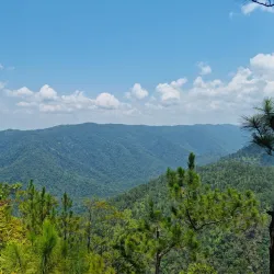 Mile 25 Waterfalls - Belmopan