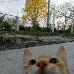 Benque Viejo del Carmen Town - Benque Viejo