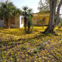 Benque Viejo del Carmen Town - Benque Viejo