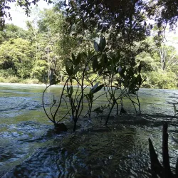 Mopan River - Benque Viejo