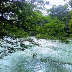 Mopan River - Benque Viejo