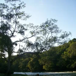 Mopan River - Benque Viejo