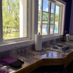 Bird Watching at the Mangroves - Caye Caulker