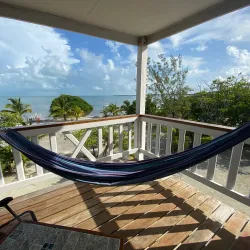 Bird Watching at the Mangroves - Caye Caulker