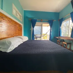 Bird Watching at the Mangroves - Caye Caulker