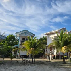 Bird Watching at the Mangroves - Caye Caulker