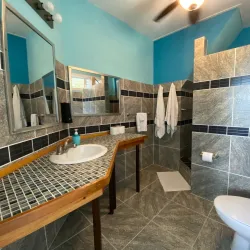 Bird Watching at the Mangroves - Caye Caulker