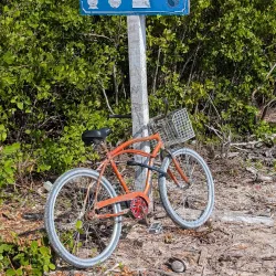 Caye Caulker Marine Reserve - Caye Caulker