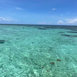 Kayaking and Paddleboarding - Caye Caulker