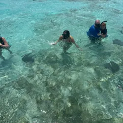 Nurse Shark Point - Caye Caulker