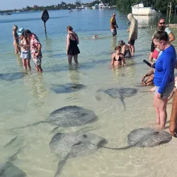 Nurse Shark Point - Caye Caulker