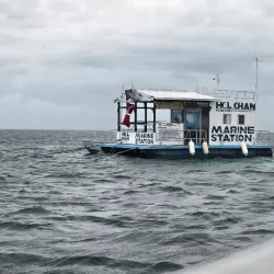 Nurse Shark Point - Caye Caulker