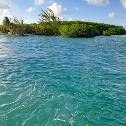 The Split - Caye Caulker