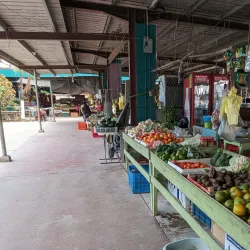 Local Village Markets - Chunox