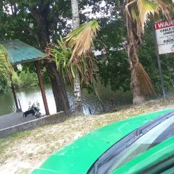 Orange Walk Town - Chunox