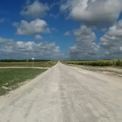 Orange Walk Town - Chunox