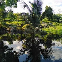 Rio Hondo River - Chunox