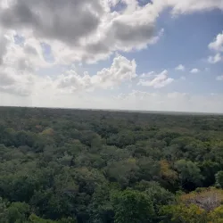 Shipstern Nature Reserve - Chunox