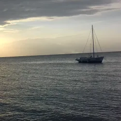 Shipstern Nature Reserve - Chunox